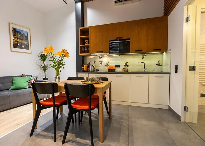 Vintage Bracka 6 Apartment